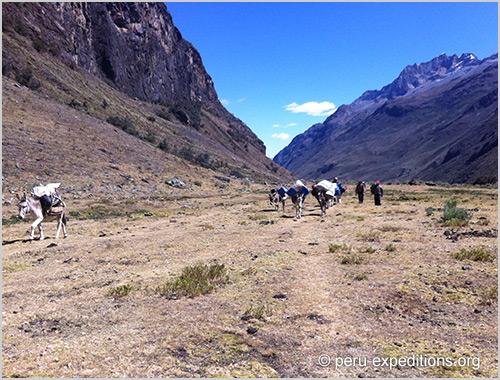 Trekking Quebrada Quilqueyhuanca
