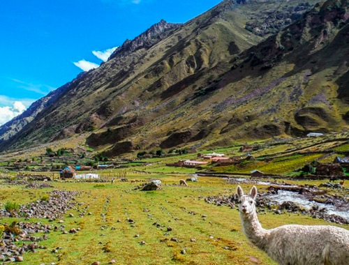 Lares trek in Peru